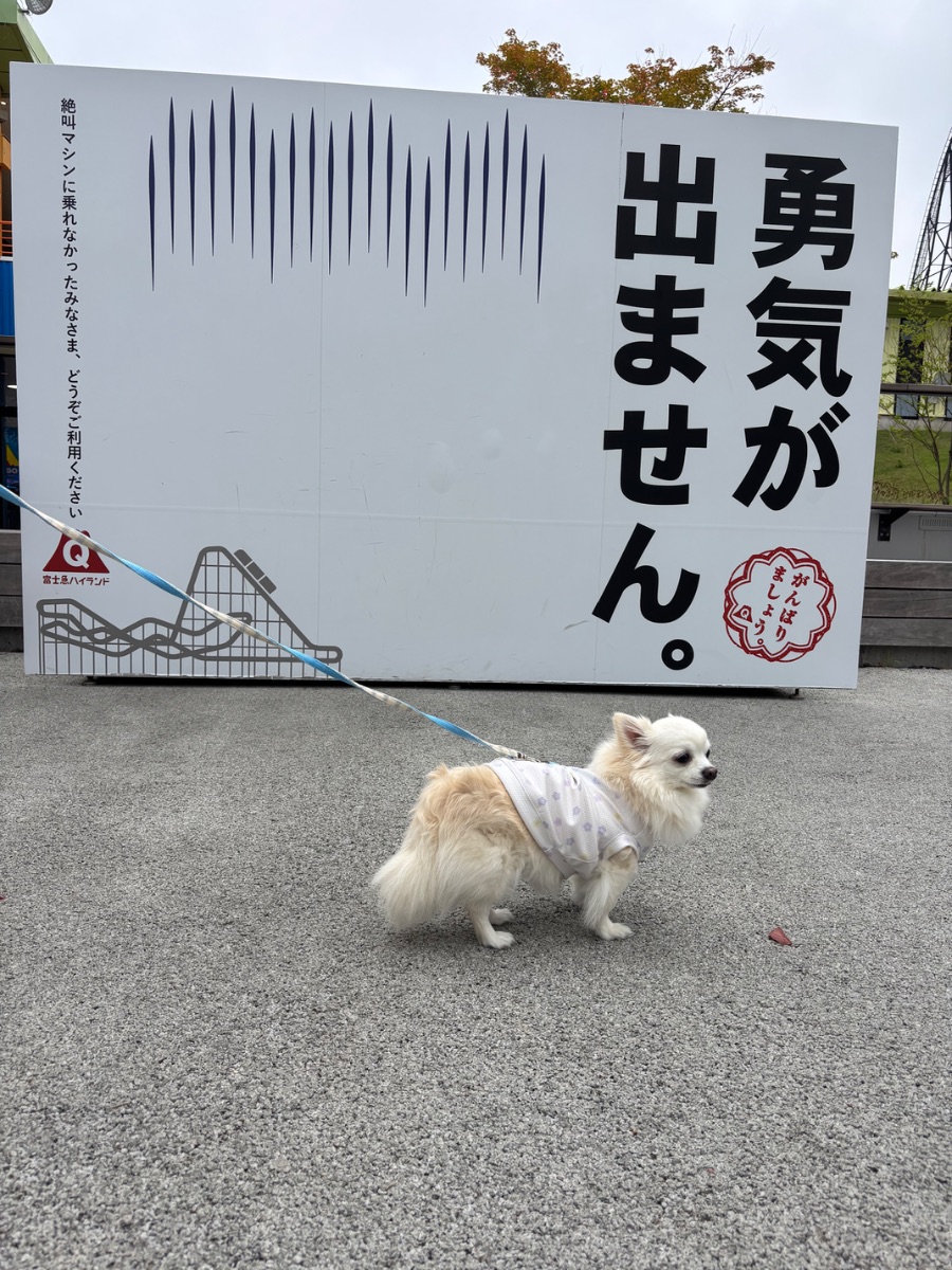 写真 2