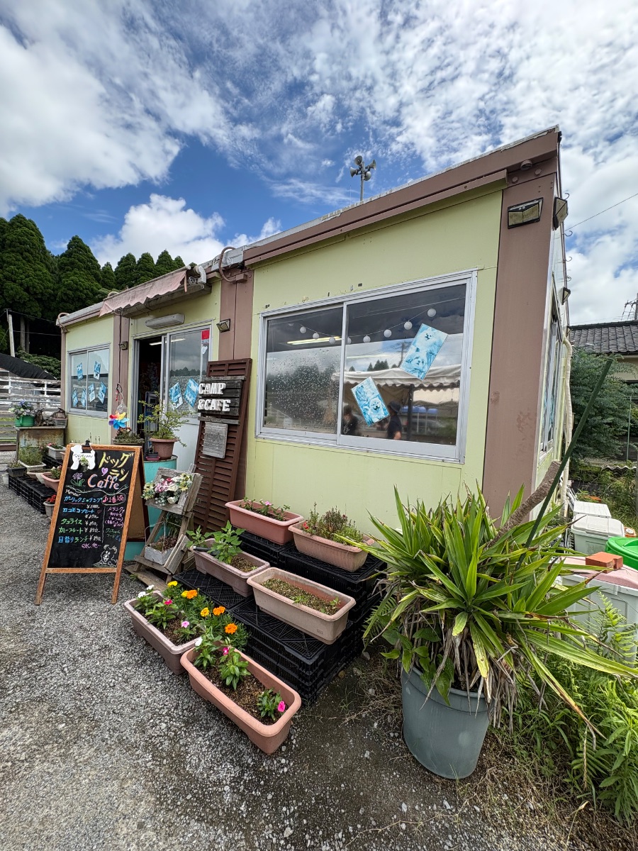 写真 2