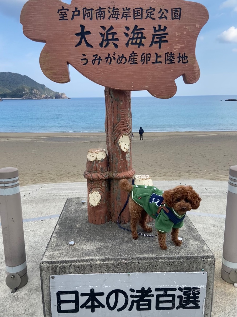 写真 3