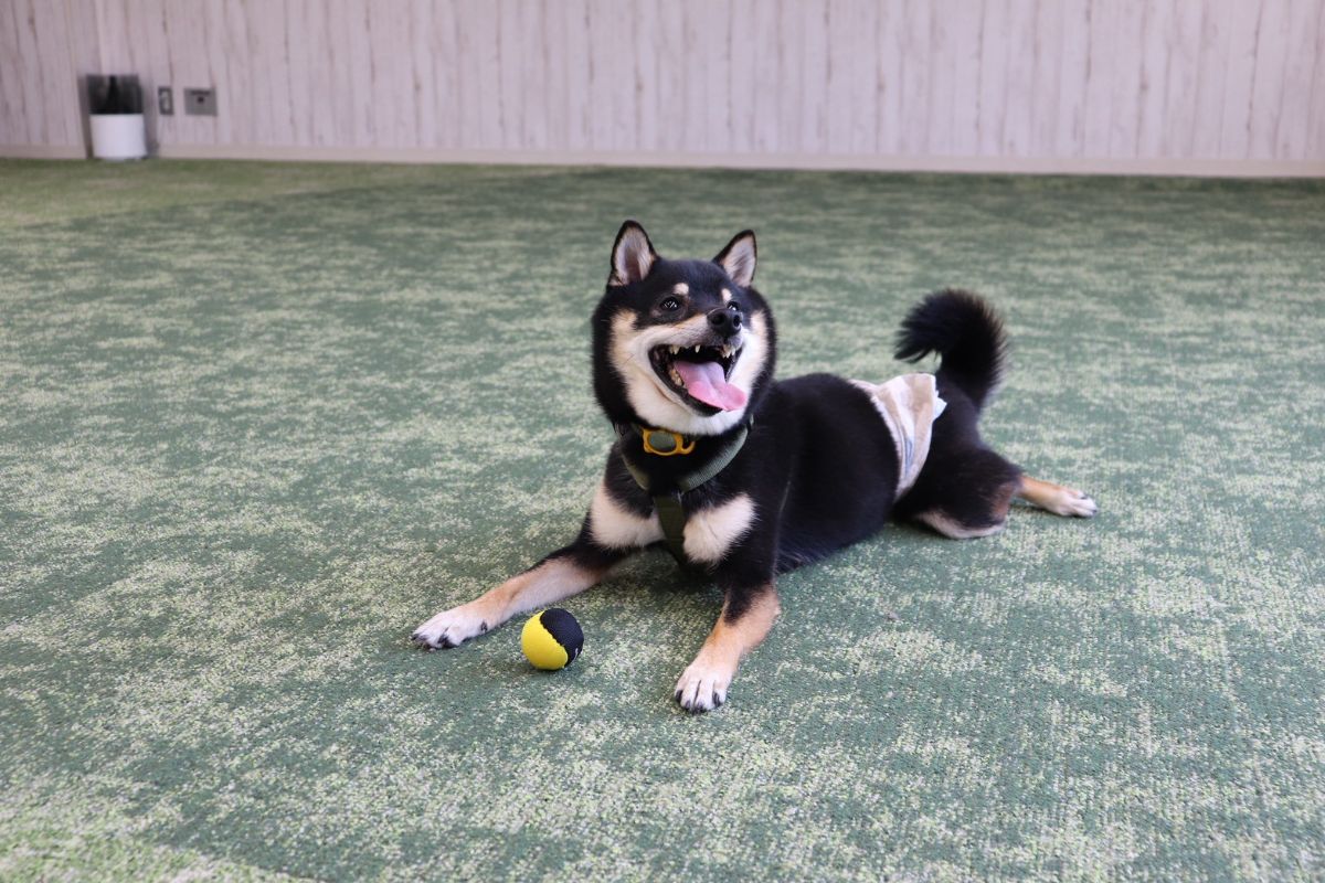 写真 4