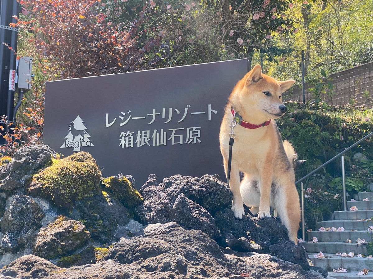 写真 1