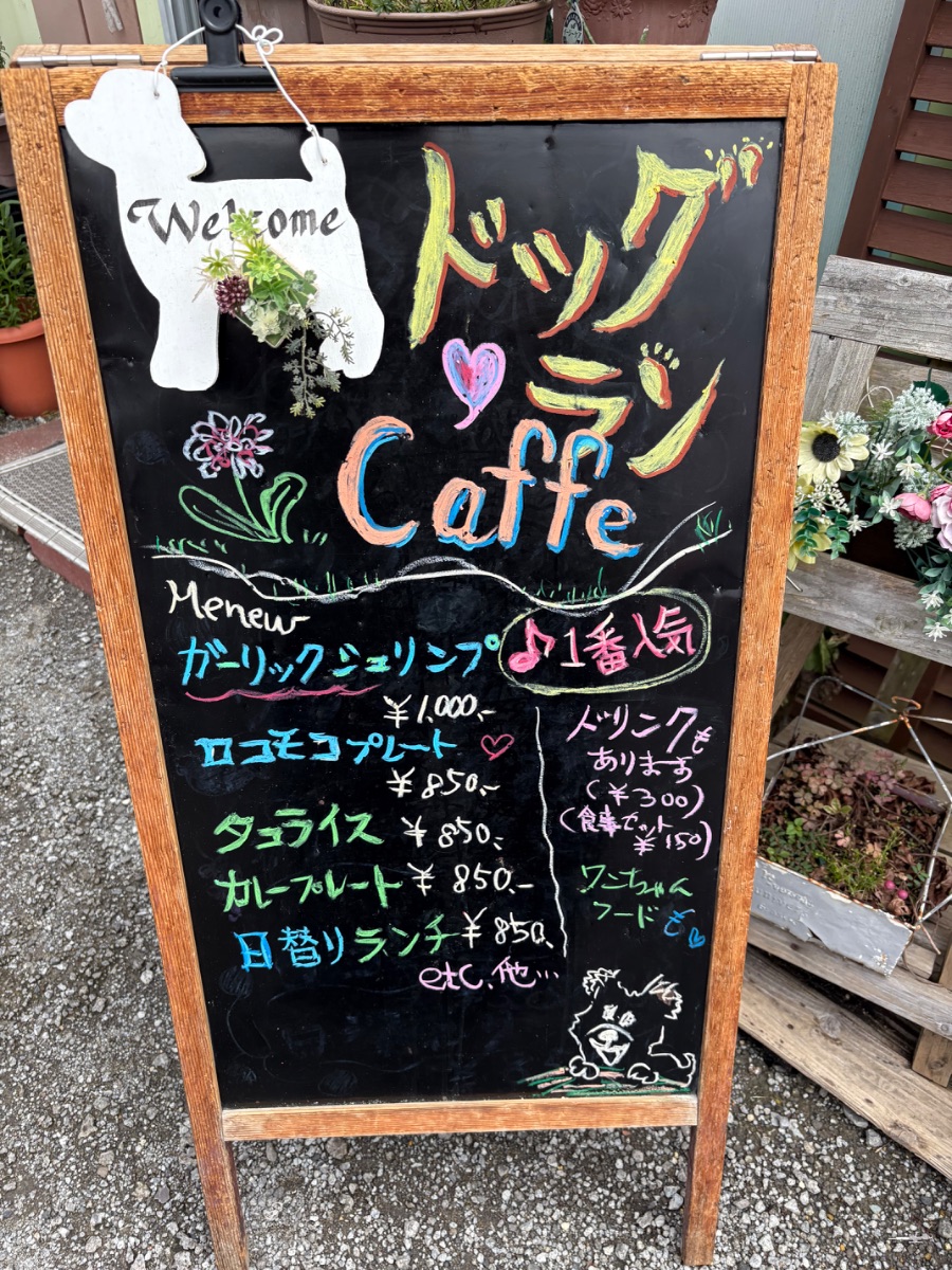 写真 3