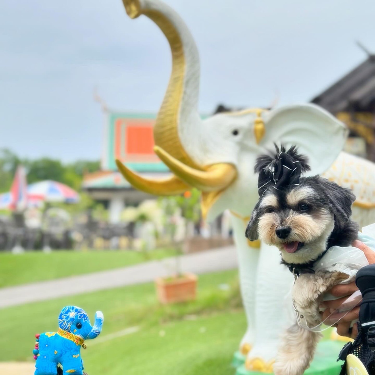 写真 2