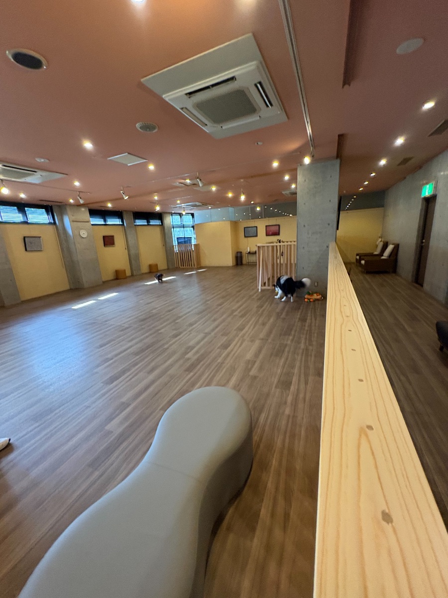 写真 4