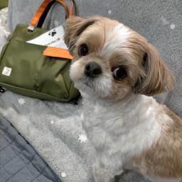 mary★のプロフィール画像