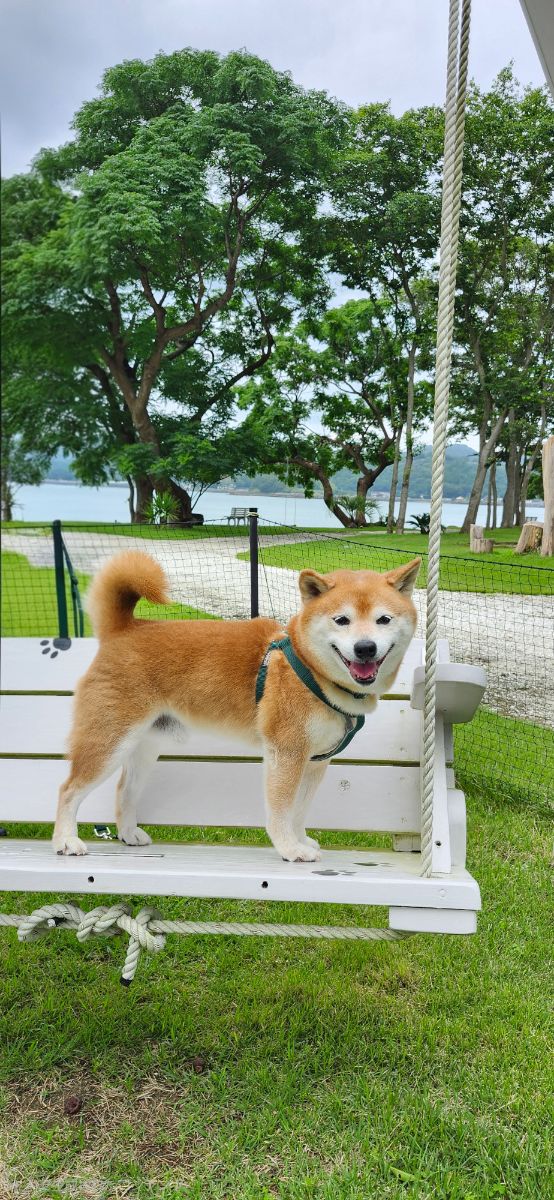 写真 1