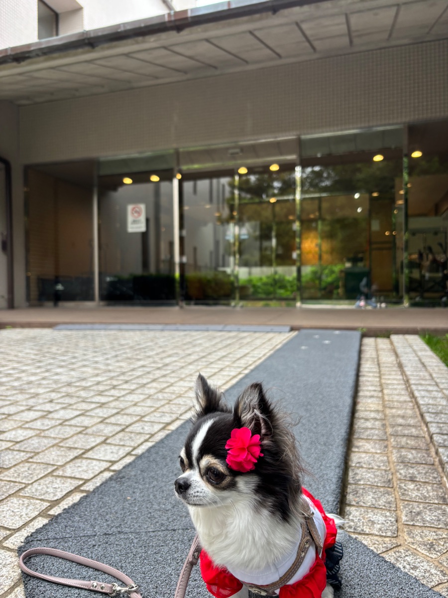 写真 5