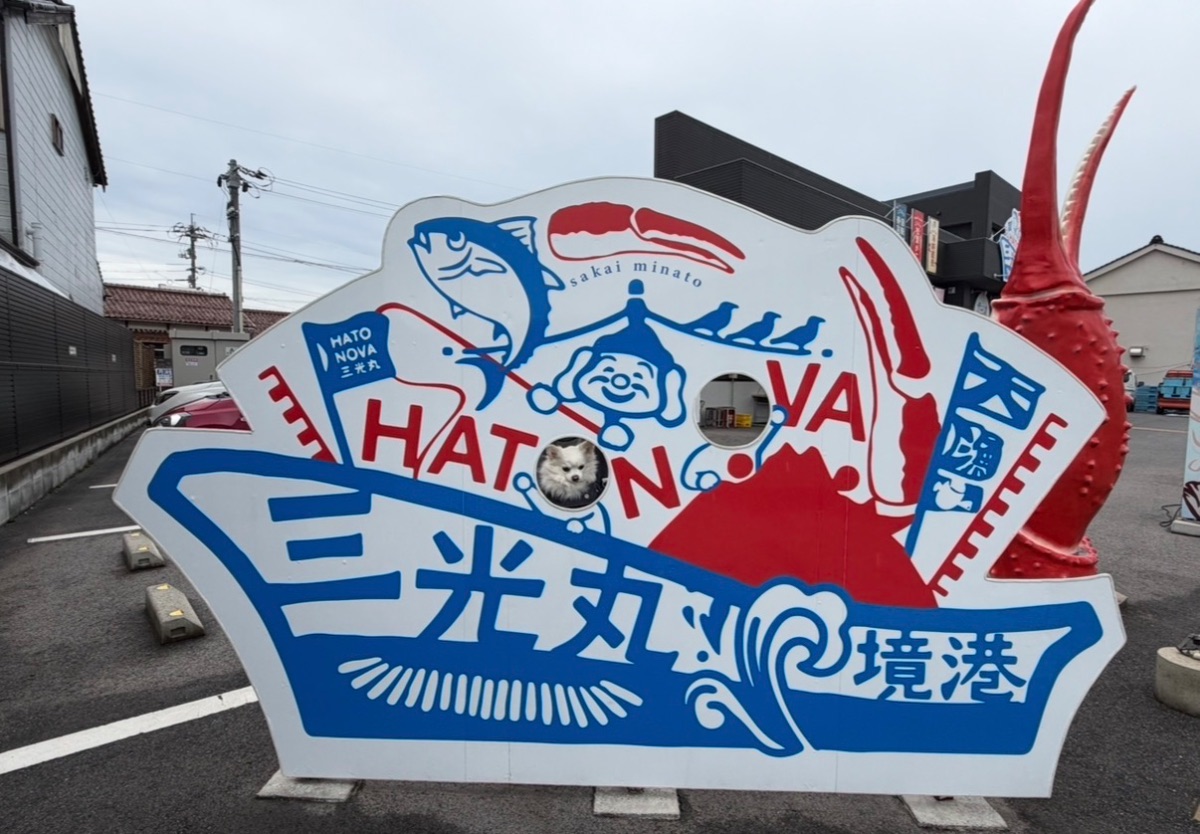 写真 1