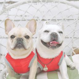 チャラモカのプロフィール画像