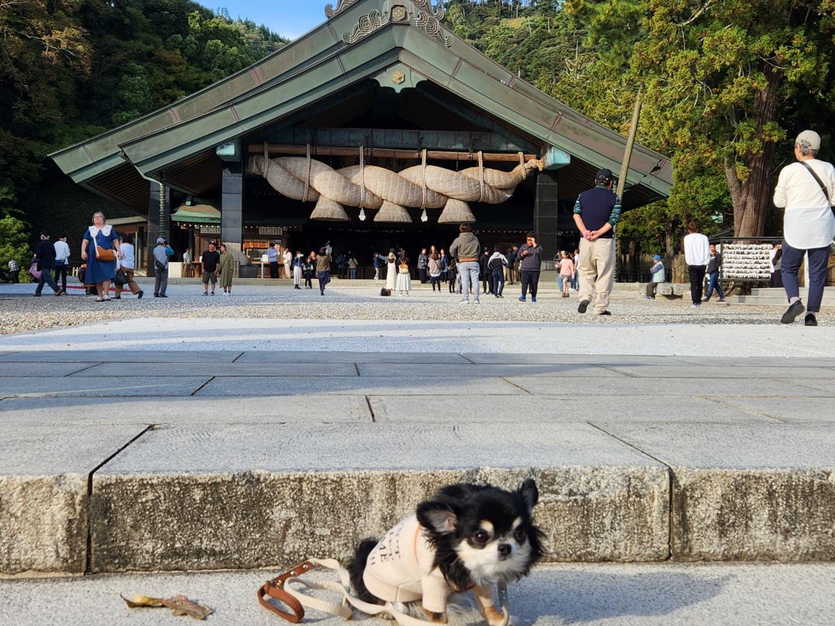 写真 5