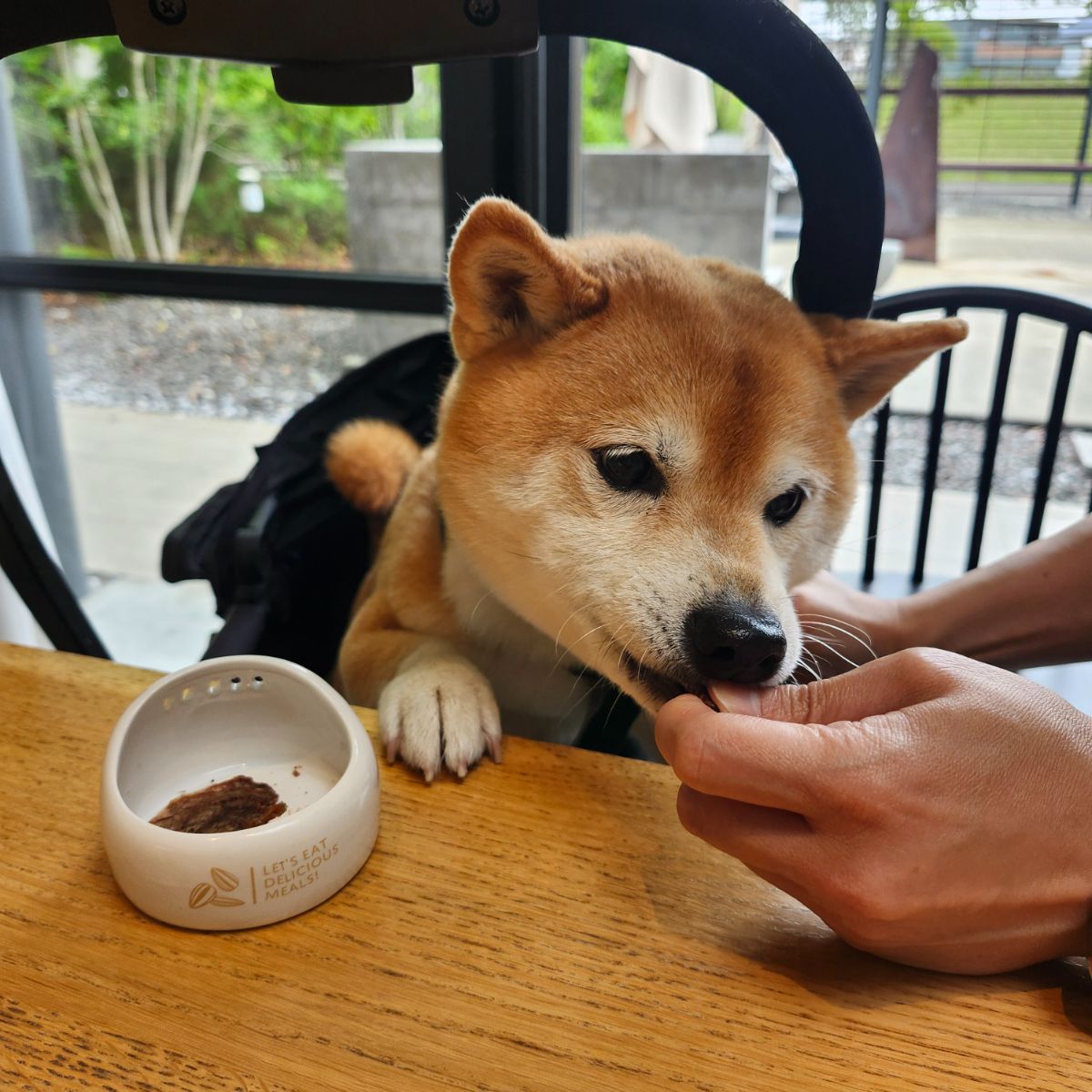 写真 3