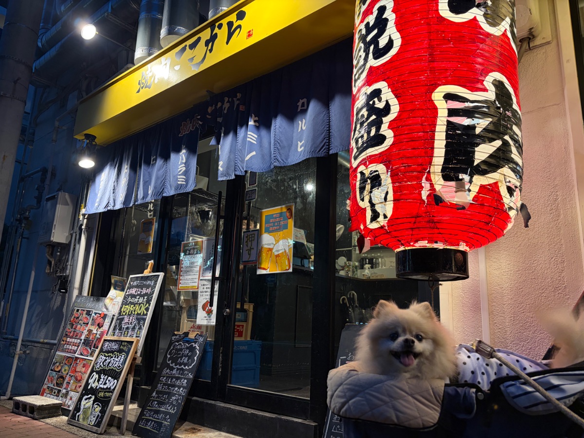 写真 3