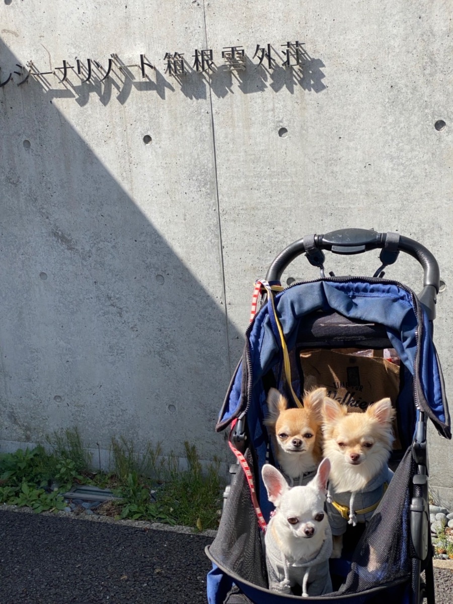 写真 1