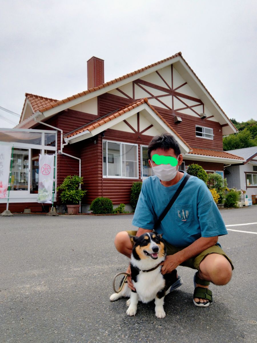 写真 4