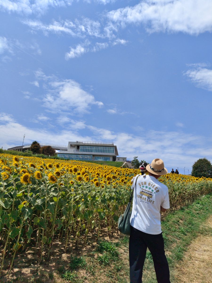 写真 4