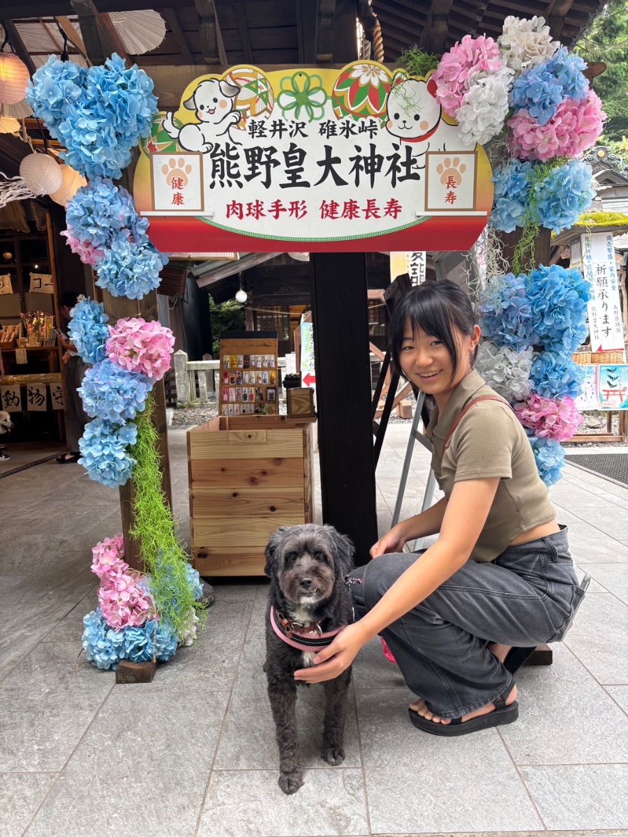 写真 3