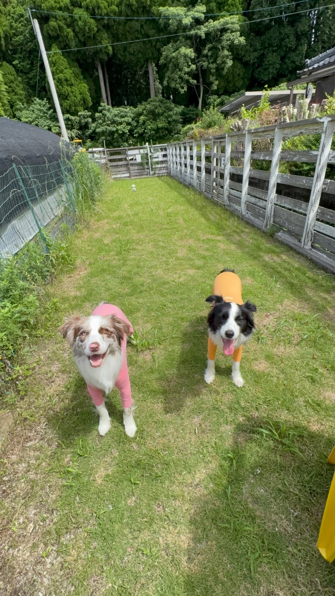 写真 4