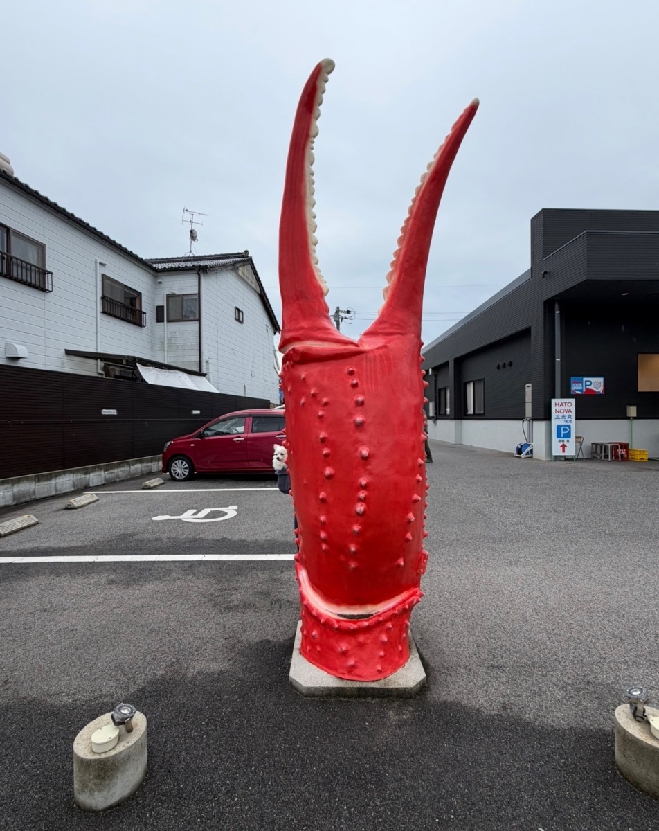 写真 2
