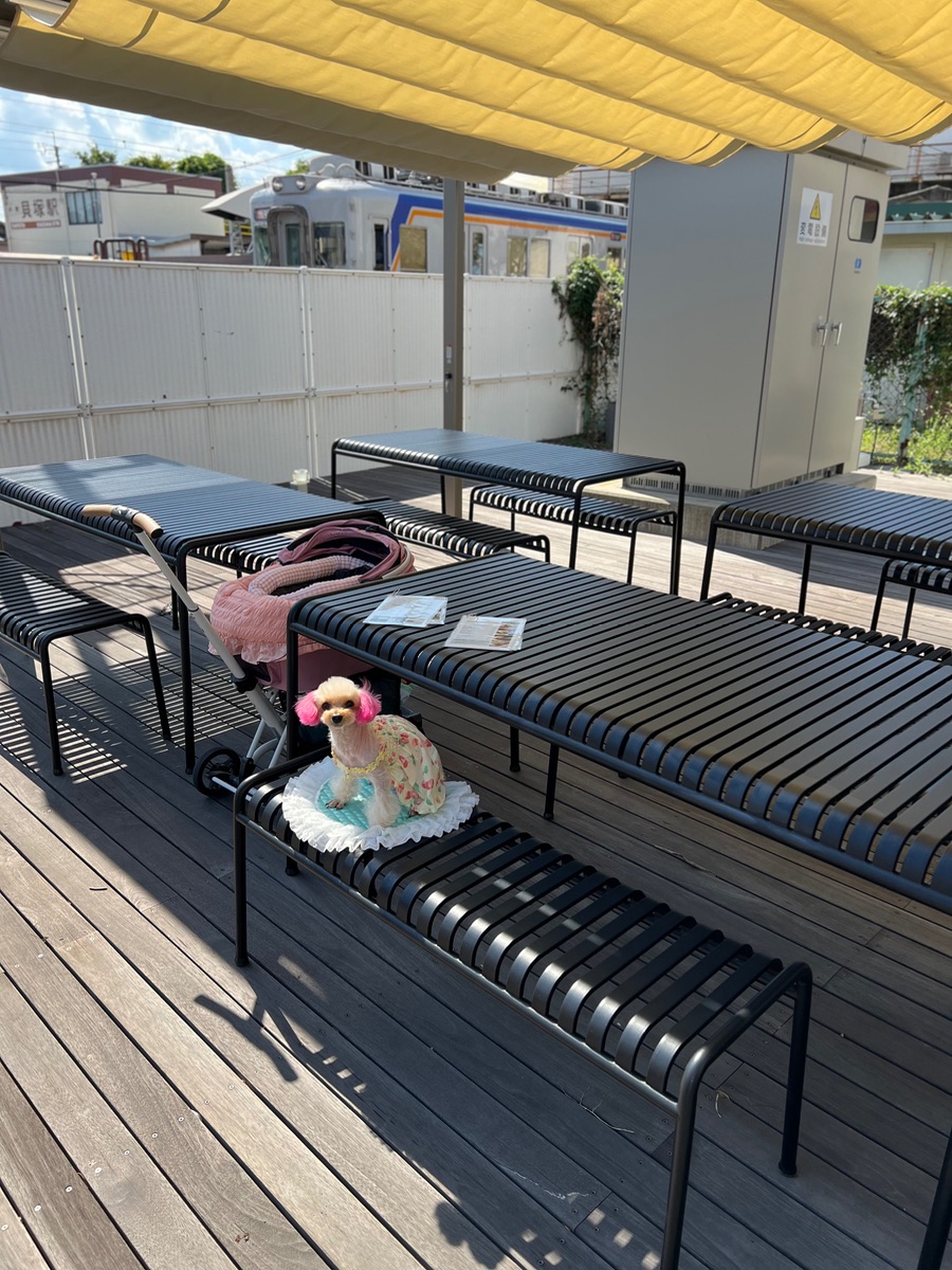 写真 4