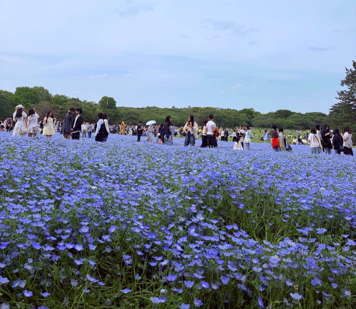 写真 2