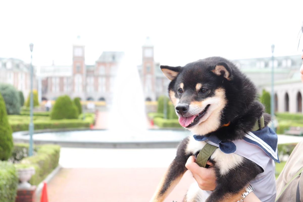 写真 4
