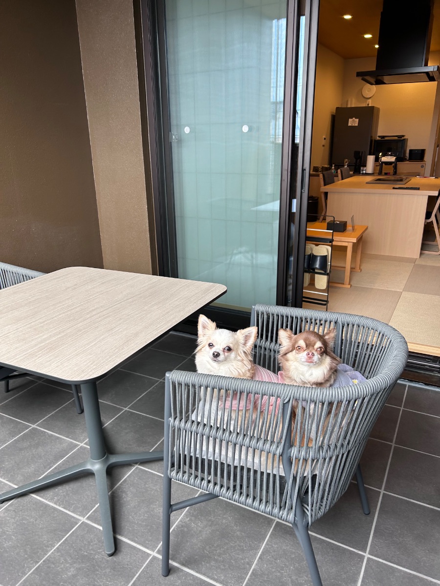 写真 5