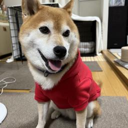 げん(源)