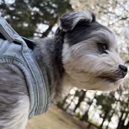 じゃこ