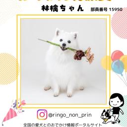 林檎