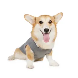 ぱる