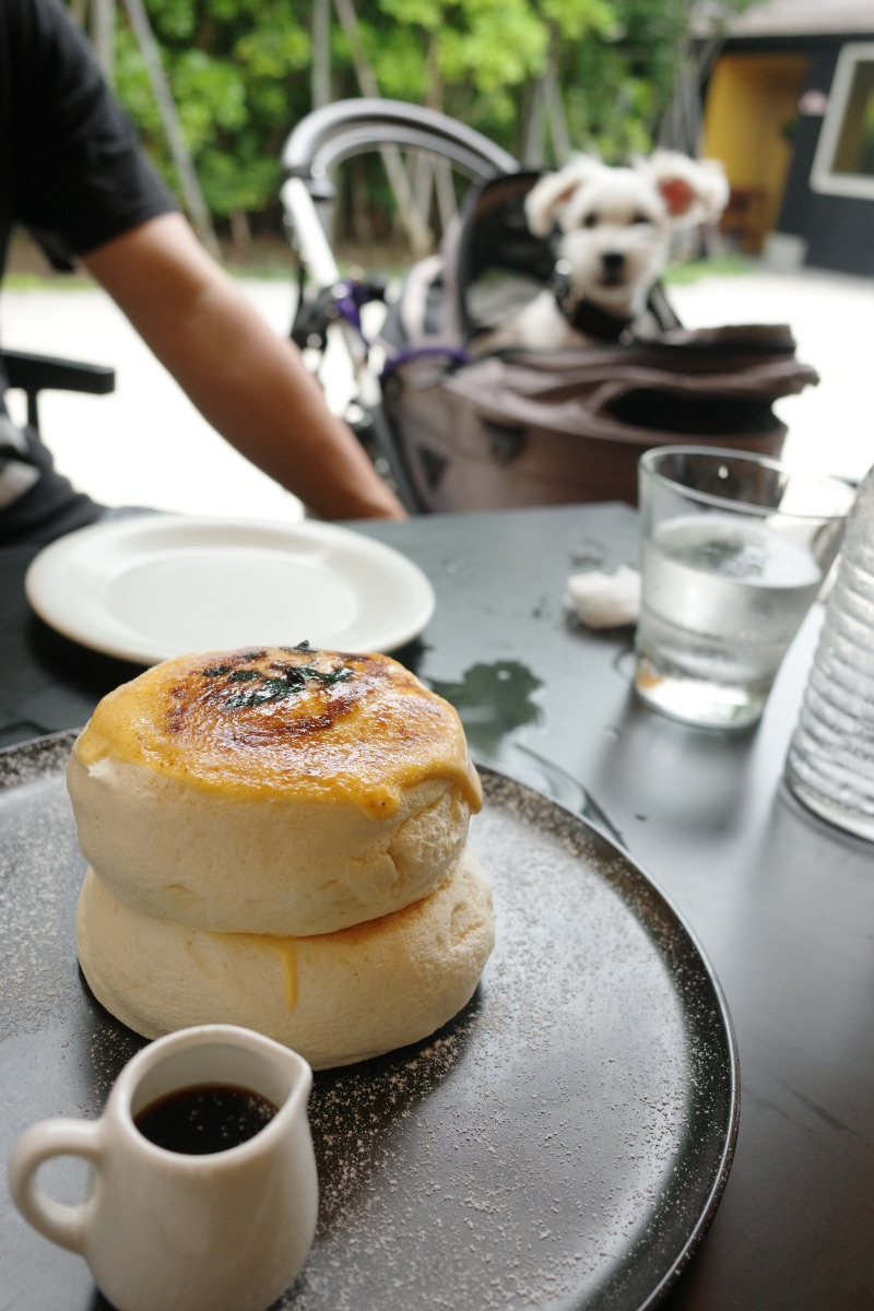 写真 2