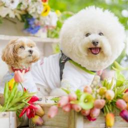 WhiteLatteのプロフィール画像