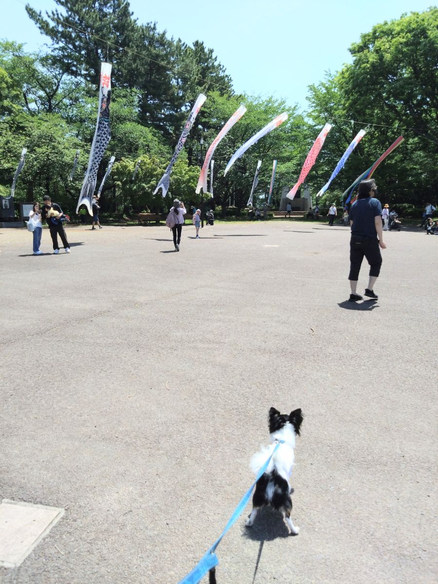 写真 2