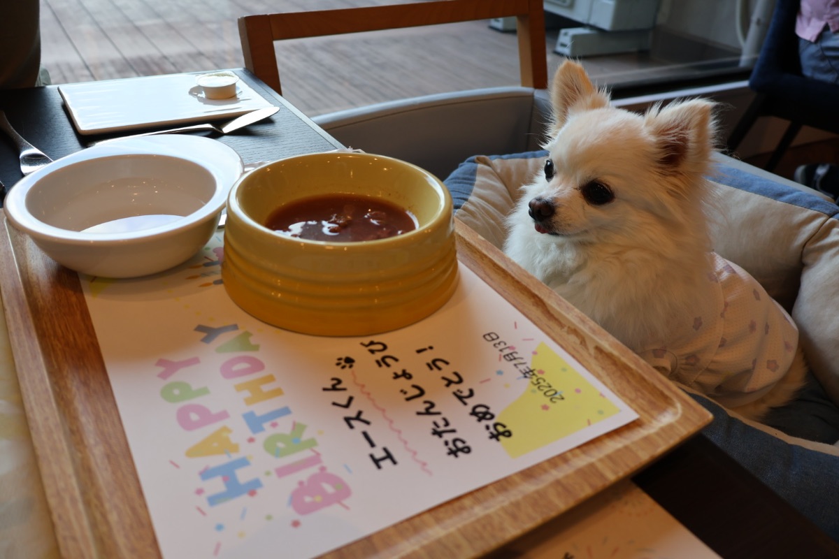写真 2