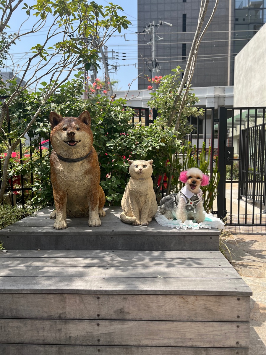 写真 2