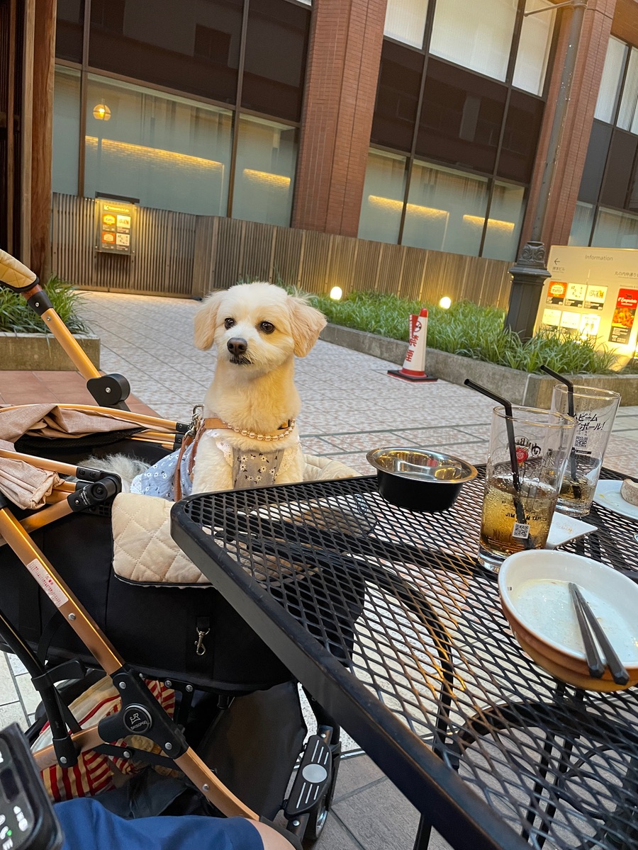 写真 5