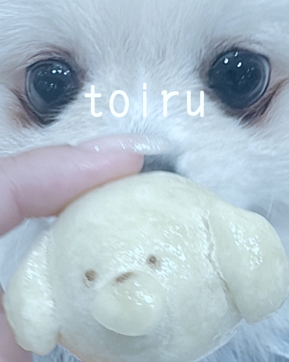 写真 2