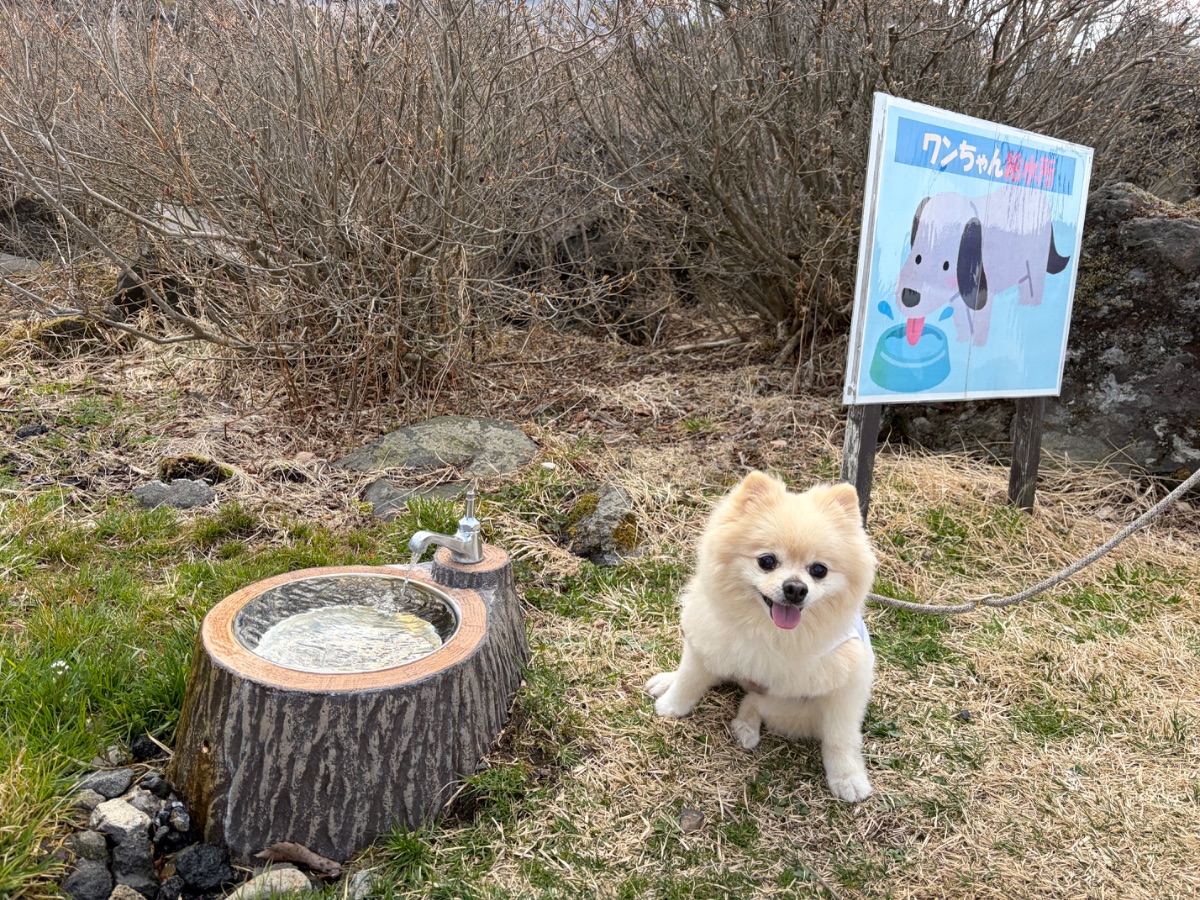 写真 2