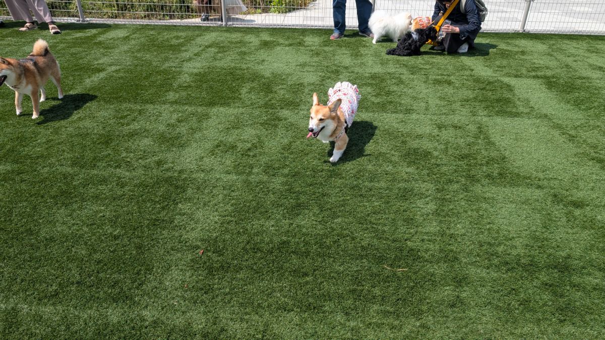 写真 3