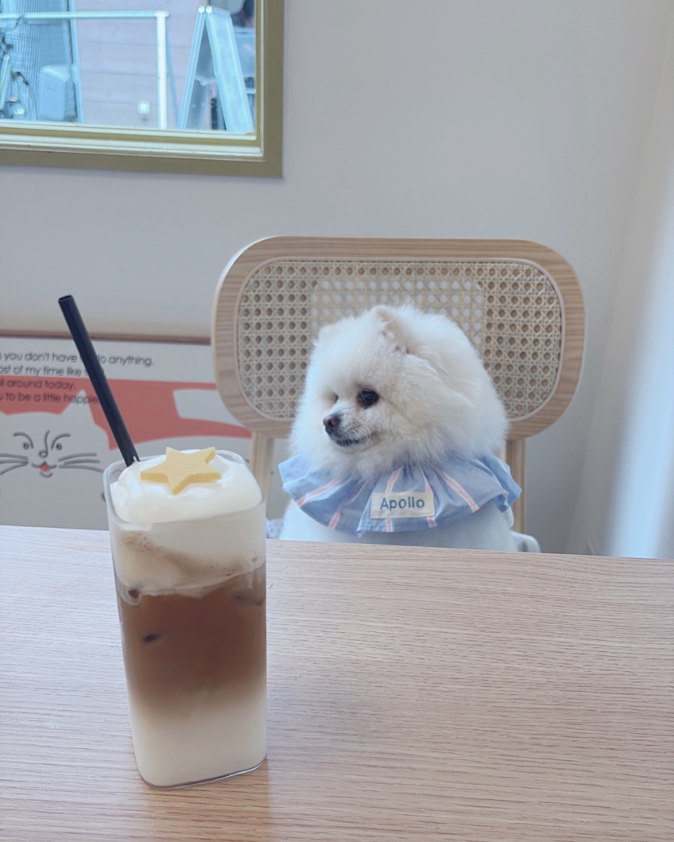 写真 1