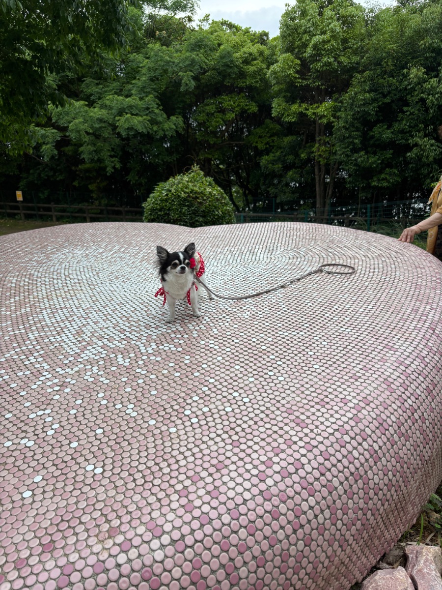 写真 2