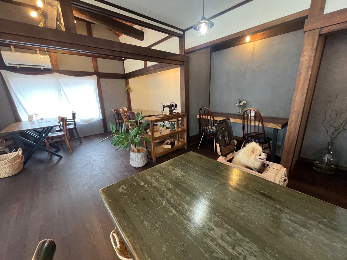 写真 4