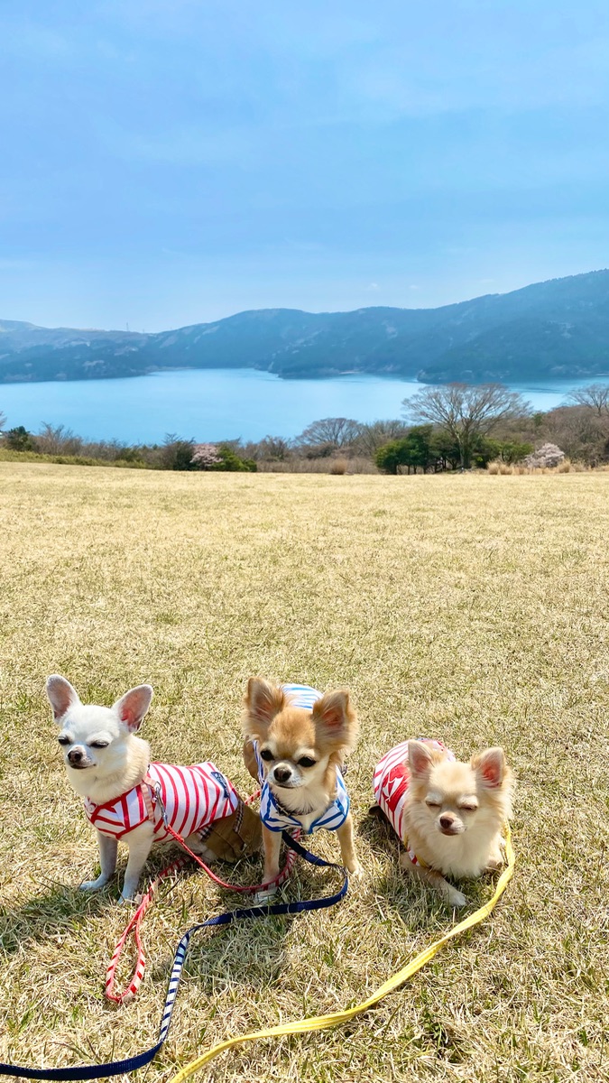 写真 3