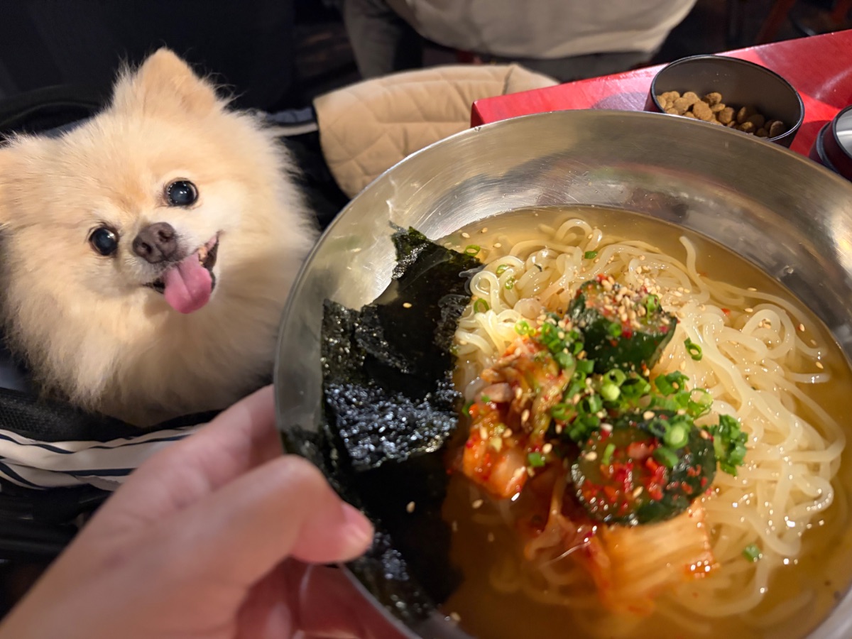 写真 2