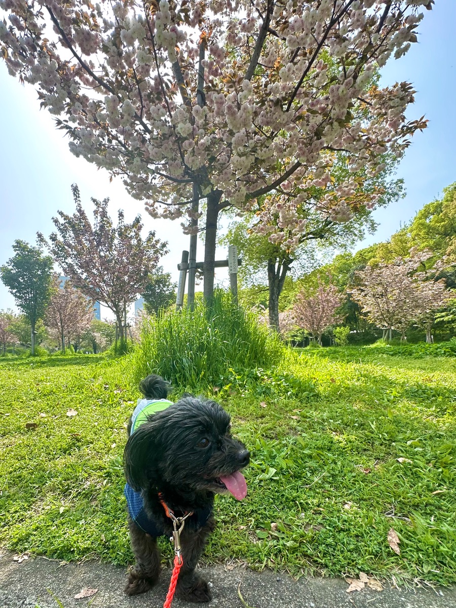 写真 2