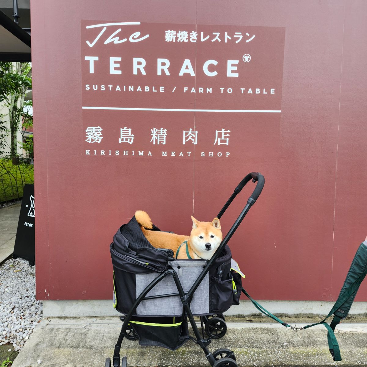 写真 1