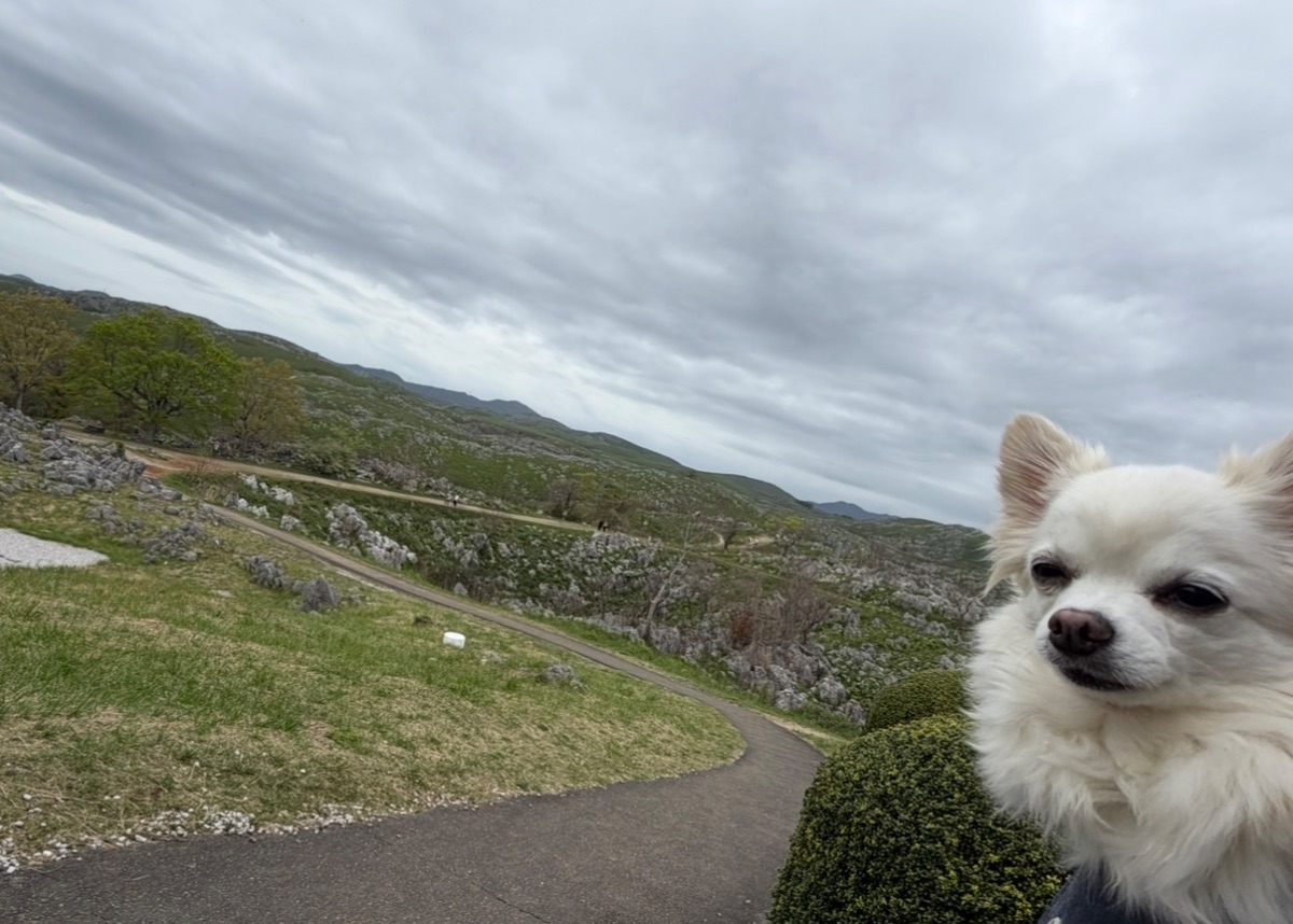 写真 4