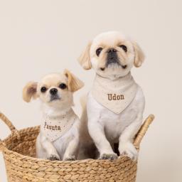 うどん🐷ぱすた