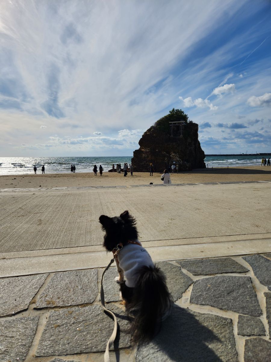 写真 1