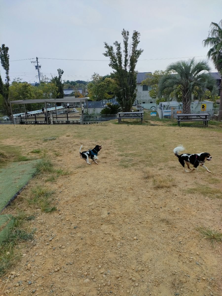 写真 4
